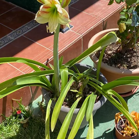 Apartamento Casa Montserrat *